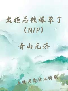 出柜后被爆草了（N/P）