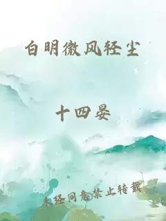 白明微风轻尘