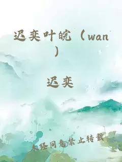 迟奕叶皖（wan）