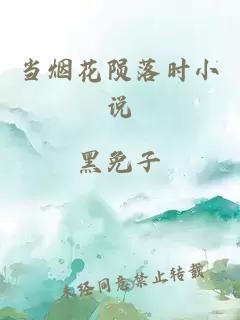 当烟花陨落时小说