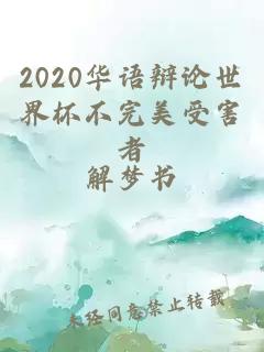 2020华语辩论世界杯不完美受害者