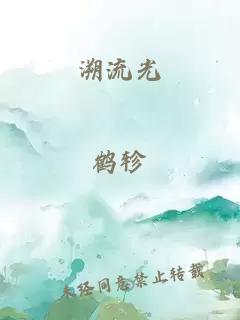 溯流光